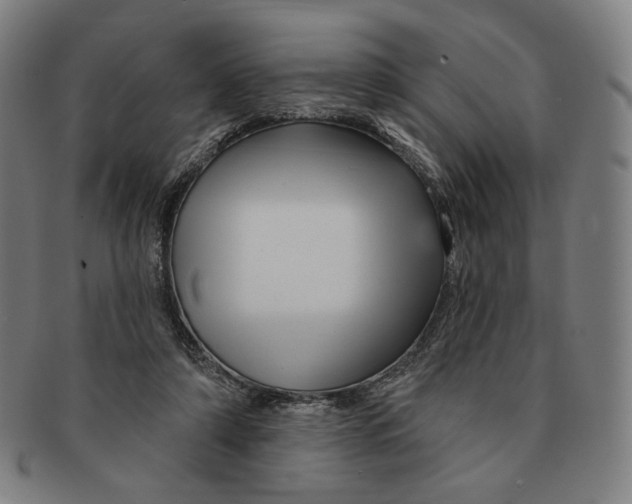 X0000090970306200708301232