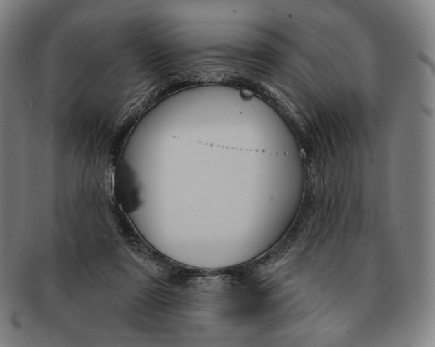X0000090970307200708301232
