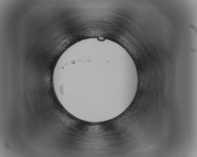 X0000090970309200708301232