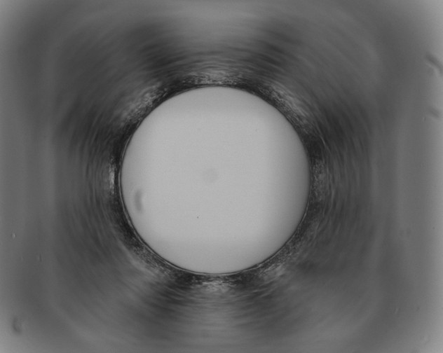 X0000090970310200708301232