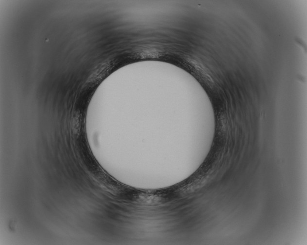 X0000090970311200708301232