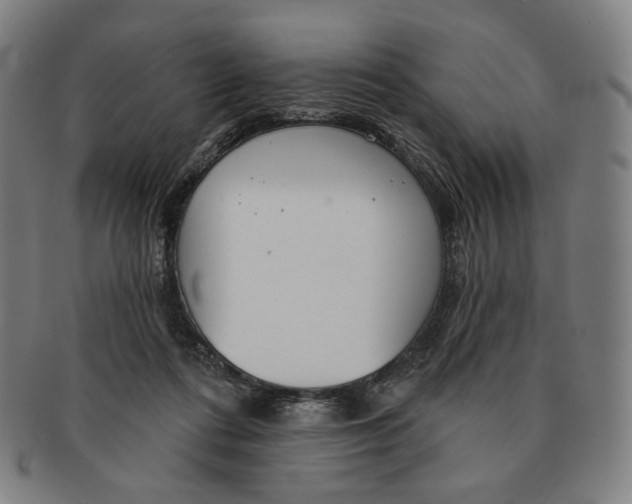 X0000090970312200708301232
