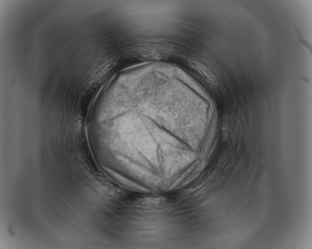 X0000090970314200708301232