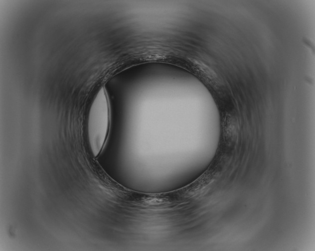 X0000090970315200708301232