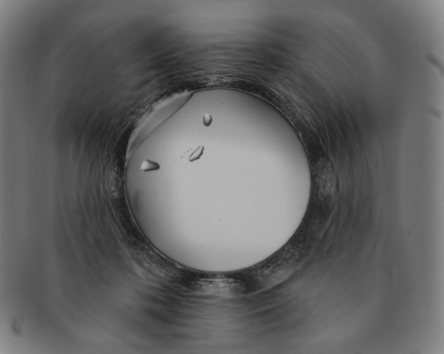 X0000090970316200708301232
