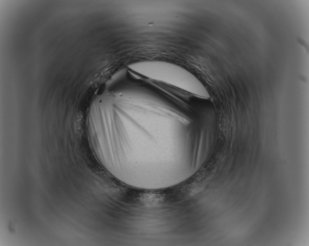 X0000090970319200708301232