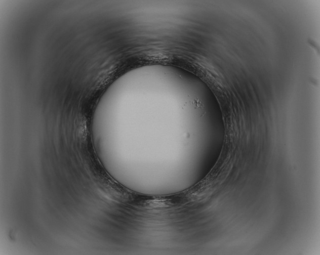 X0000090970320200708301232