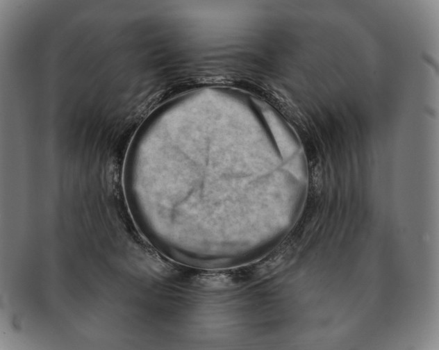 X0000090970322200708301232