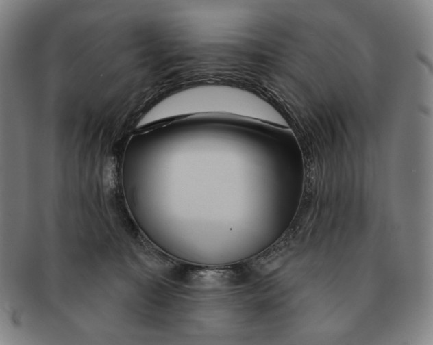 X0000090970323200708301232