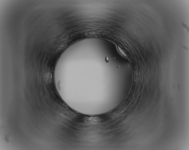 X0000090970324200708301232