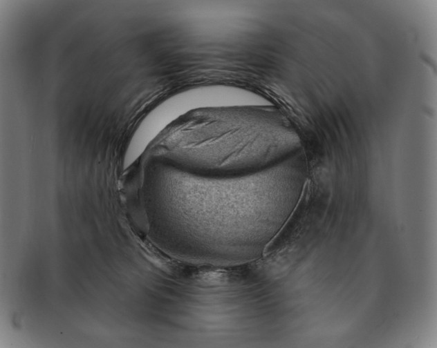 X0000090970325200708301232