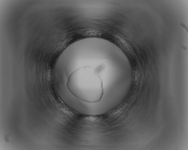 X0000090970326200708301232