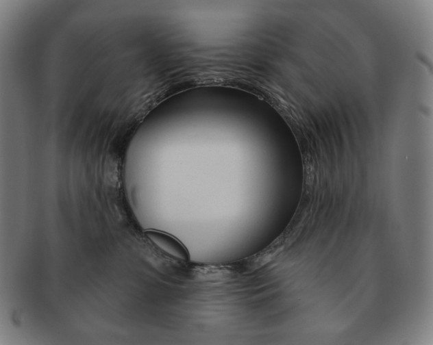 X0000090970331200708301232