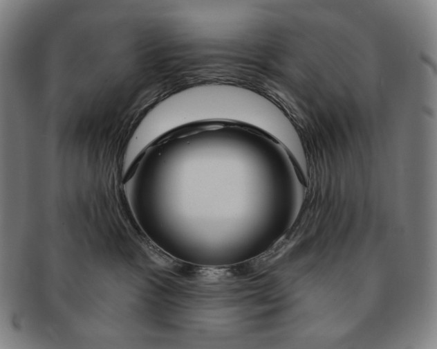X0000090970333200708301232