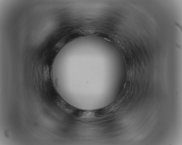 X0000090970335200708301232
