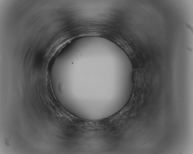 X0000090970338200708301231