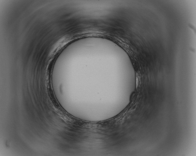 X0000090970339200708301231