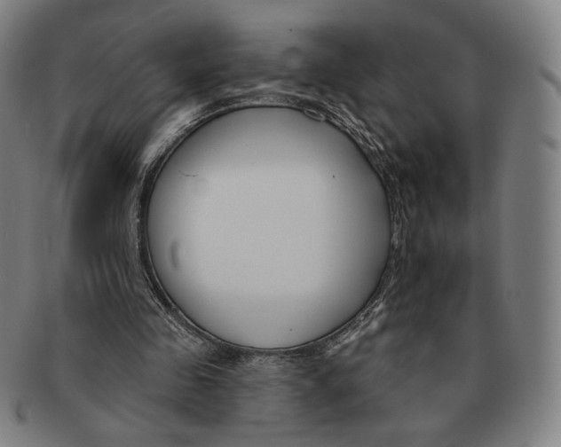 X0000090970341200708301231