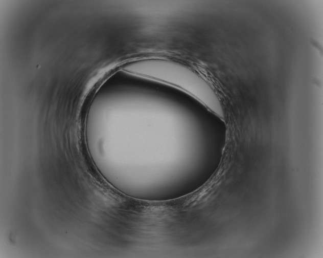 X0000090970342200708301231