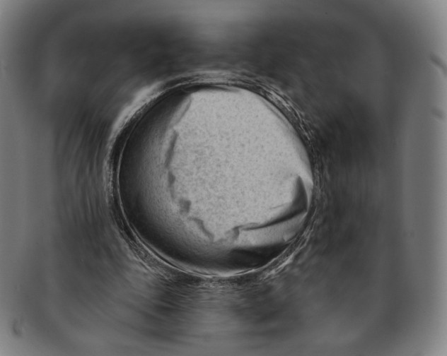 X0000090970343200708301231