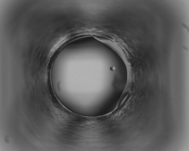 X0000090970344200708301231
