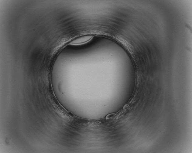 X0000090970345200708301231