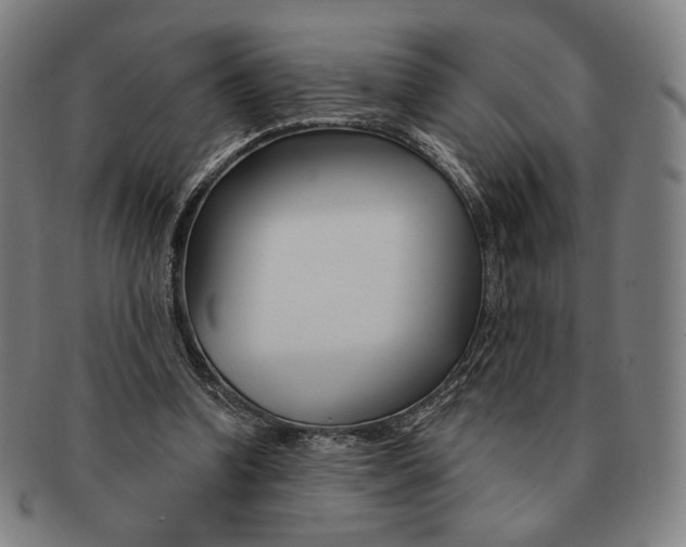 X0000090970346200708301231
