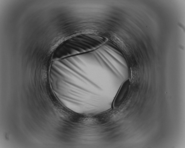 X0000090970348200708301231