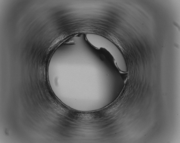 X0000090970349200708301231