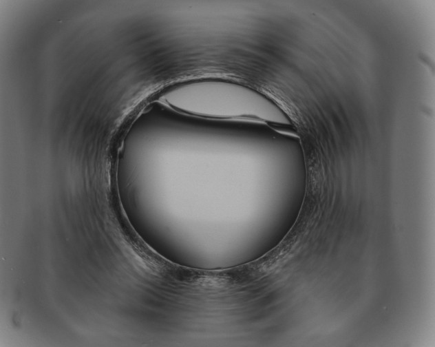 X0000090970350200708301231