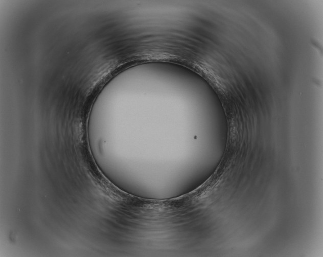 X0000090970351200708301231