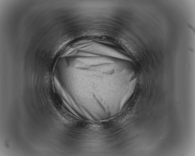X0000090970352200708301231