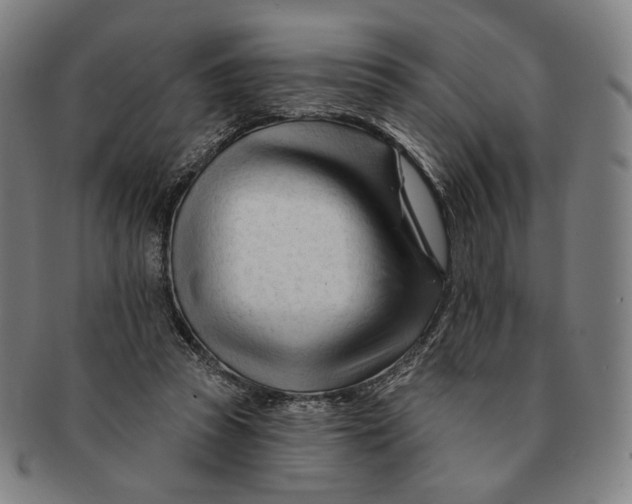 X0000090970353200708301231
