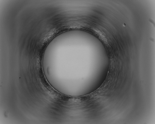 X0000090970354200708301231