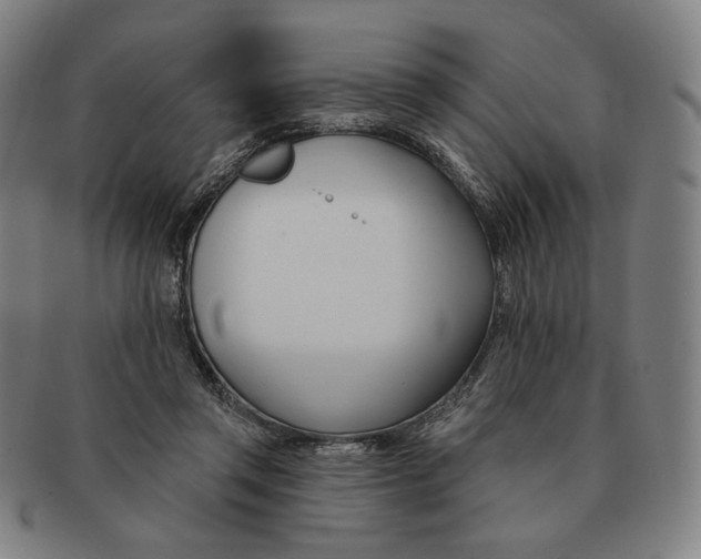 X0000090970357200708301231