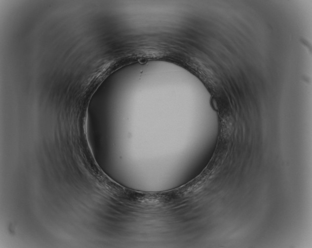 X0000090970358200708301231