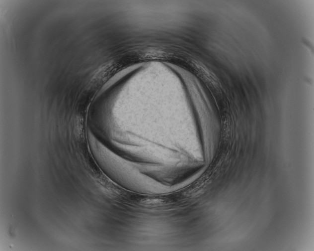 X0000090970361200708301231
