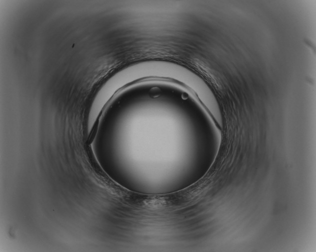 X0000090970362200708301231