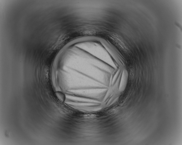X0000090970363200708301231