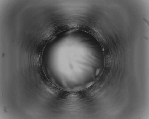 X0000090970364200708301231
