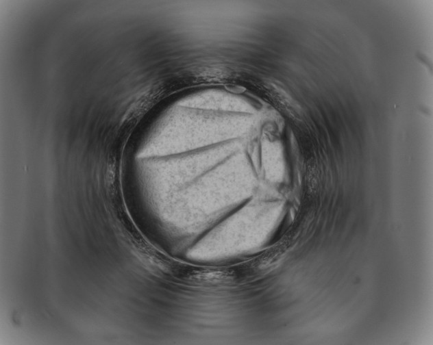 X0000090970365200708301231