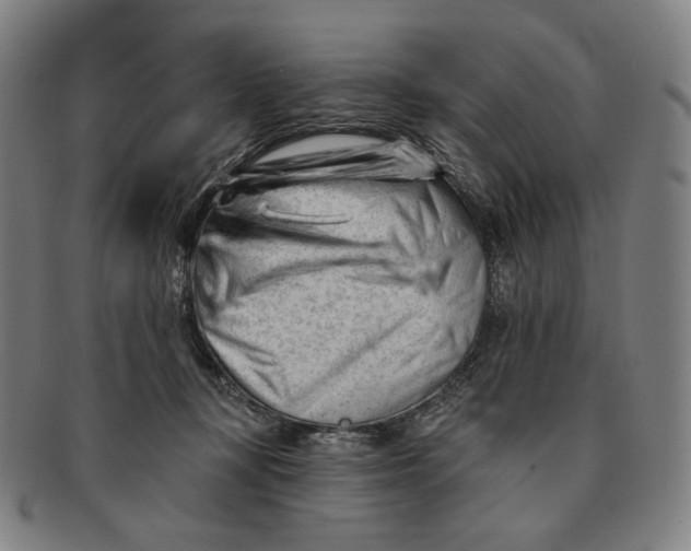 X0000090970367200708301231