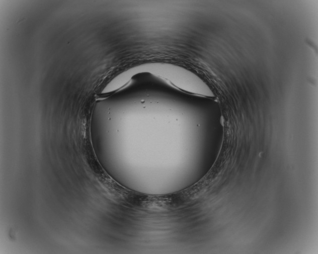 X0000090970368200708301231