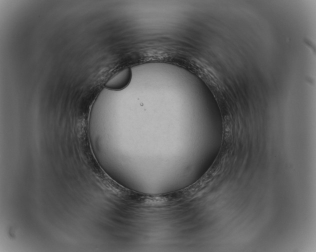 X0000090970369200708301231