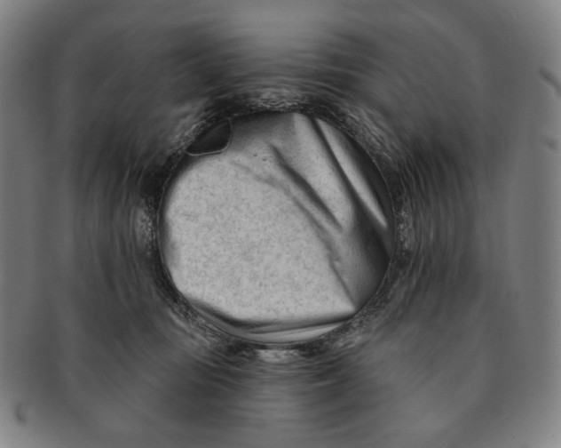 X0000090970371200708301231