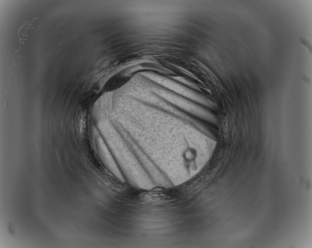 X0000090970372200708301231