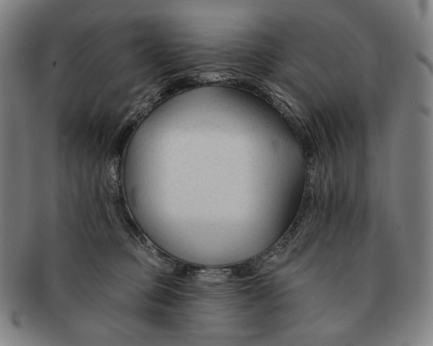 X0000090970373200708301231