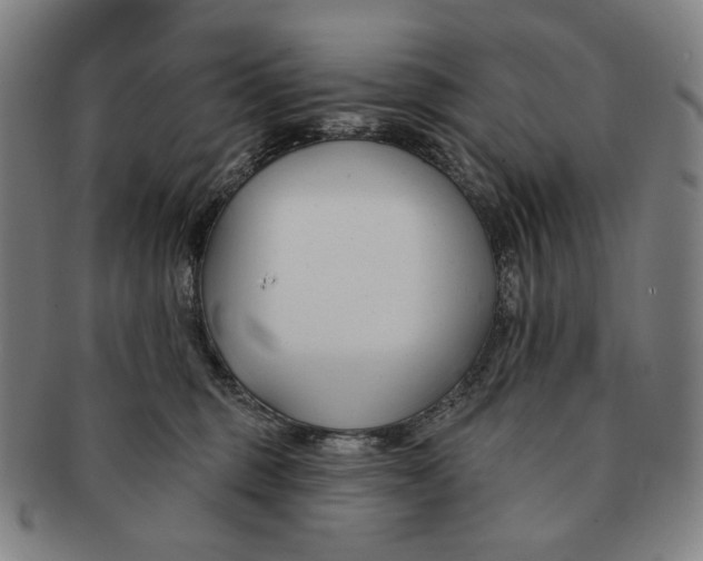X0000090970375200708301231