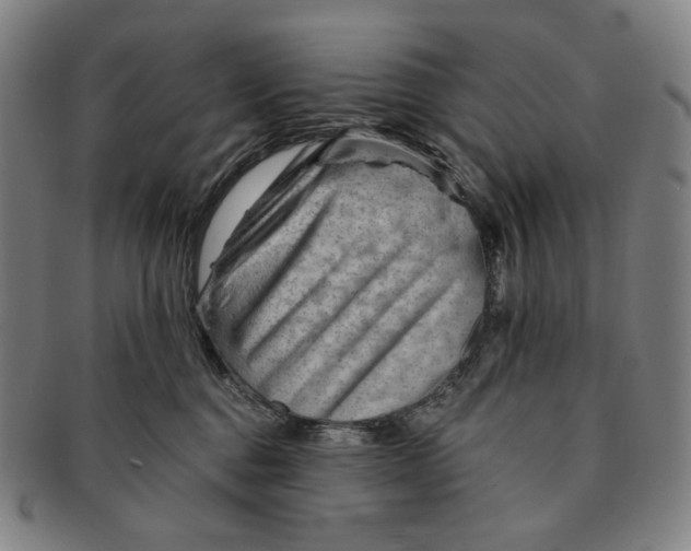 X0000090970376200708301231