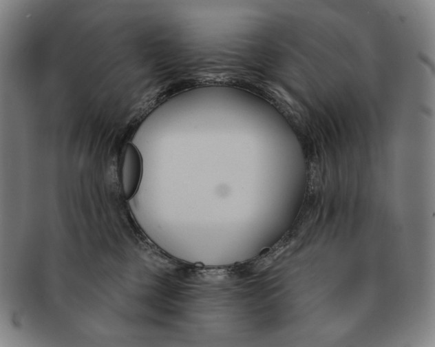 X0000090970377200708301231